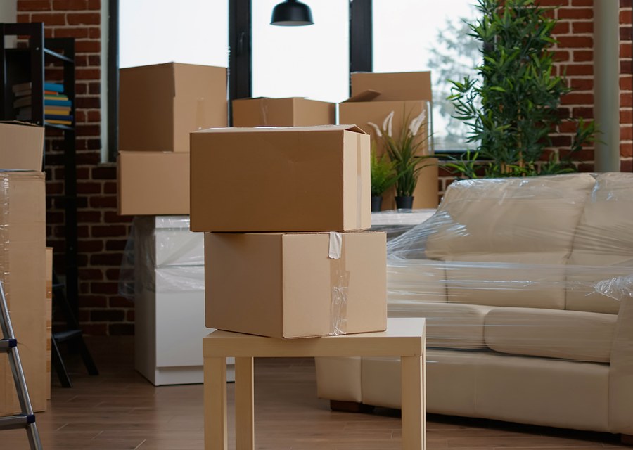 Movers loading a truck in St Petersburg, Florida