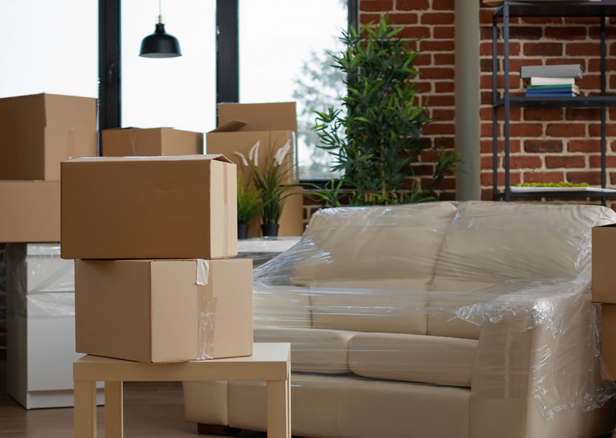 Movers loading a truck in Lakewood, Colorado
