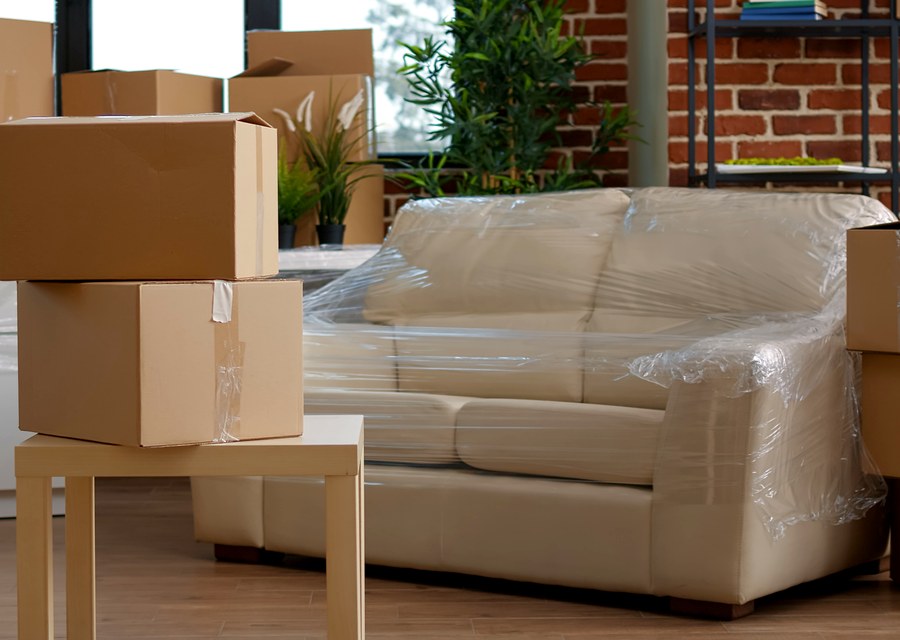 Movers loading a truck in Fort Collins, Colorado