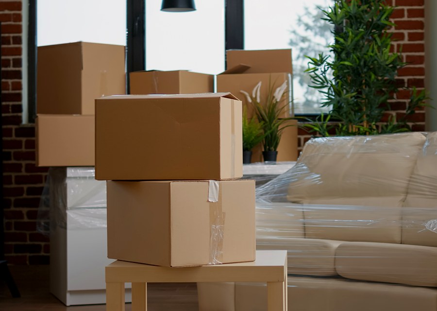 Furniture being moved by professional crew